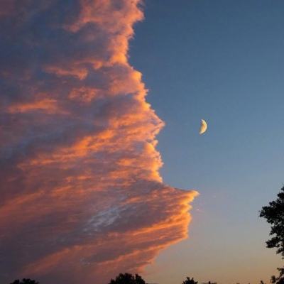 梦幻捉妖记手机版下载